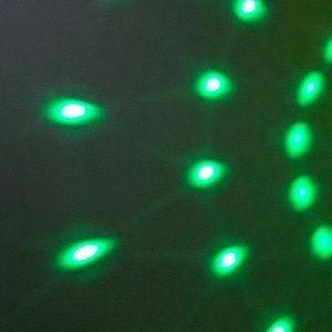 Meet your Posher, Jayla